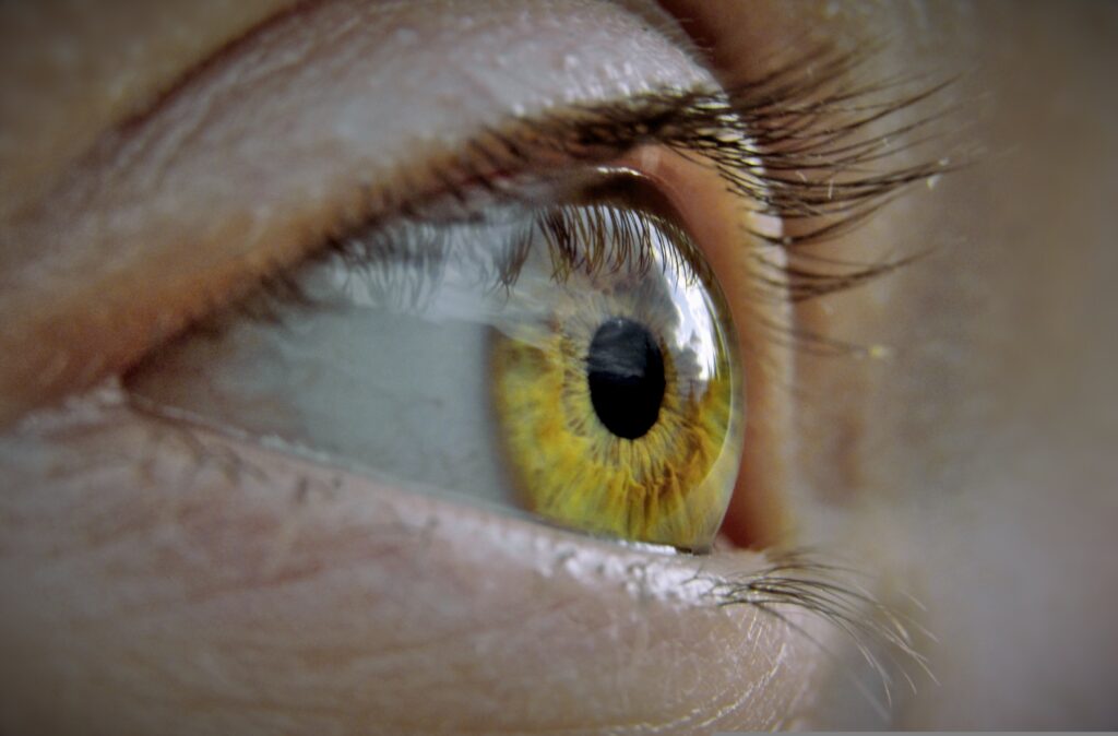 Valeurs eye serpa